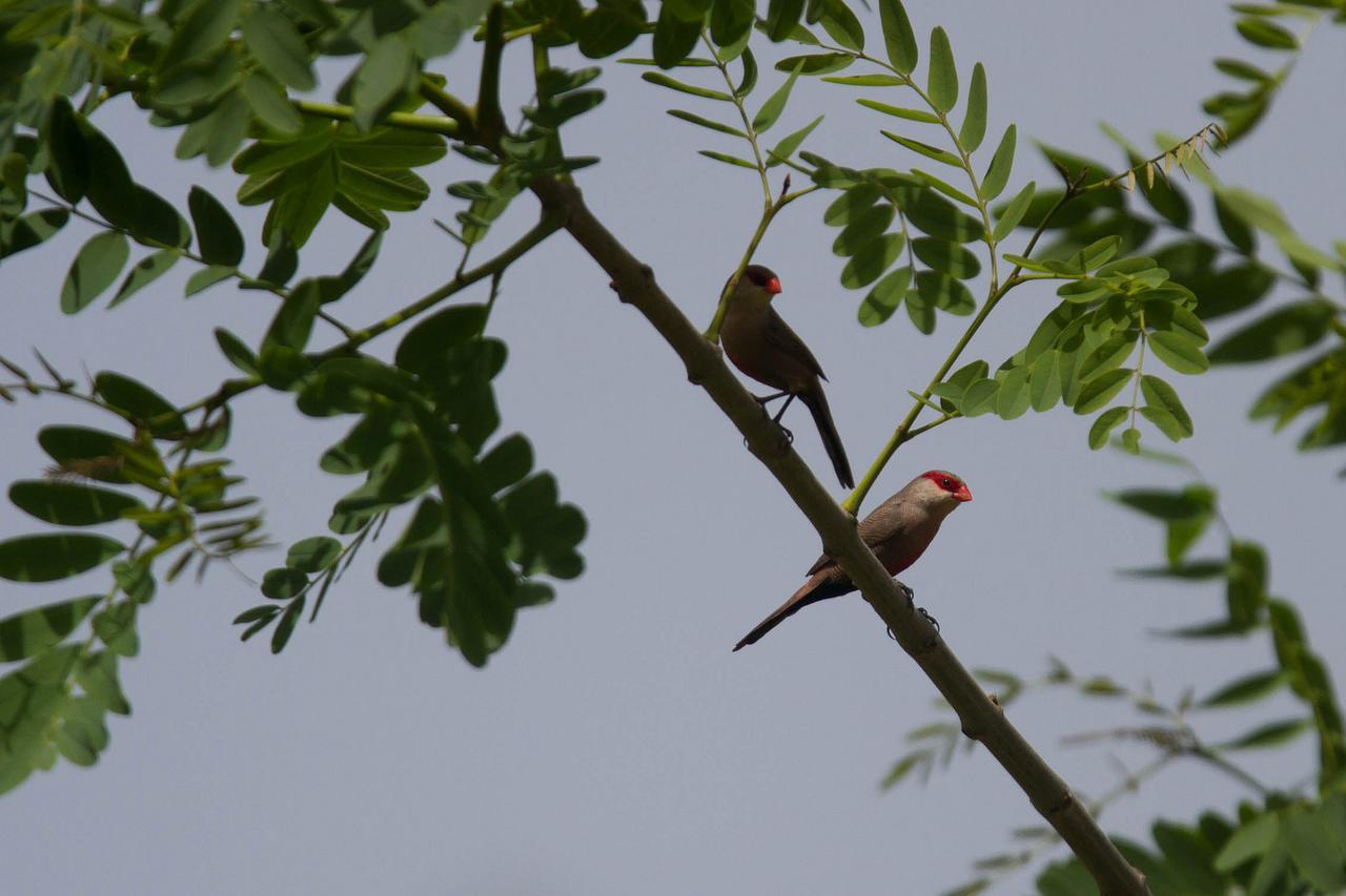Quinta Dos Poetas Nature Hotel & Apartments Pechao ภายนอก รูปภาพ